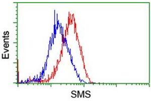 Flow cytometric Analysis of Hela cells, using anti-SMS antibody (ABIN2454723), (Red), compared to a nonspecific negative control antibody, (Blue). (SMS Antikörper)