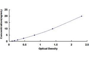 Typical standard curve (SLC9A3 ELISA Kit)