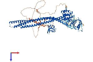 GRAF Protein (AA 1-814) (His tag)