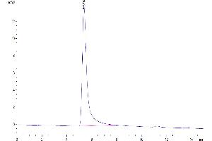 Size-exclusion chromatography-High Pressure Liquid Chromatography (SEC-HPLC) image for Claudin 18.2 (AA 1-261) (Active) protein-VLP (ABIN7448160)