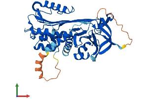 Protein Structure (PS) image for serpin Peptidase Inhibitor, Clade B (Ovalbumin), Member 10 (SERPINB10) (AA 1-397) protein (His tag) (ABIN7546155)