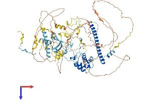 EPC1 Protein (AA 1-813) (His tag)