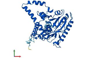 Protein Structure (PS) image for Monoacylglycerol O-Acyltransferase 1 (MOGAT1) (AA 1-335) protein (His tag) (ABIN7560161)