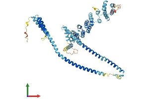 AlphaFold protein structure predicition of Human Recombinant CLHC1 Protein, UniprotID Q8NHS4