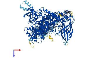 PIK3CA Protein (AA 1-1068) (His tag)