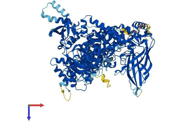 PIK3CA Protein (AA 1-1068) (His tag)