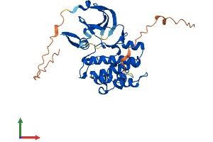 Protein Structure (PS) image for Pim-3 Oncogene (PIM3) (AA 1-326) protein (His tag) (ABIN7550821)