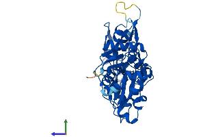 AlphaFold protein structure predicition of Mouse Recombinant Actbl2 Protein, UniprotID Q8BFZ3