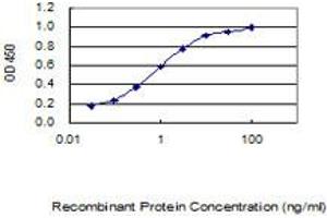 Detection limit for recombinant GST tagged MGC50273 is 0. (MGC50273 (AA 1-209) Antikörper)