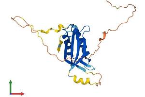 AlphaFold protein structure predicition of Mouse Recombinant Ddit4 Protein, UniprotID Q9D3F7 (DDIT4 Protein (AA 1-229) (His tag))