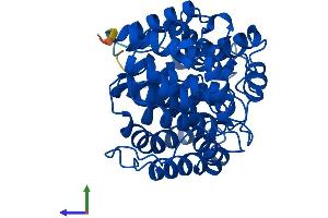 Protein Structure (PS) image for ADP-Ribosylarginine Hydrolase (ADPRH) (AA 1-362) protein (His tag) (ABIN7556175)