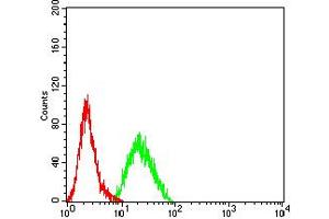Flow Cytometry (FACS) image for anti-Cholinergic Receptor, Nicotinic, beta 3 (Neuronal) (CHRNB3) (AA 25-232) antibody (ABIN5684151)