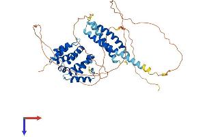 TOM1L1 Protein (AA 1-474) (His tag)