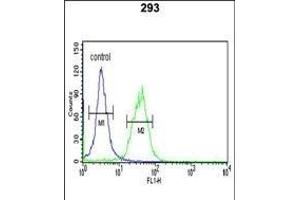 TRIB2 Antibody (N-term) (ABIN652876 and ABIN2842567) flow cytometric analysis of 293 cells (right histogram) compared to a negative control cell (left histogram). (TRIB2 Antikörper  (N-Term))