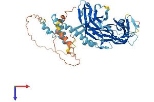 FBXO15 Protein (AA 1-510) (His tag)