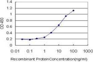 Detection limit for recombinant GST tagged TLN1 is approximately 0. (TLN1 Antikörper  (AA 1052-1149))