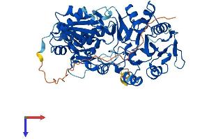 B3GALTL Protein (AA 1-489) (His tag)