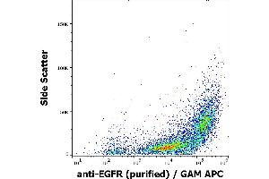 Flow cytometry surface staining pattern of A-431 cells stained using anti-EGFR (EGFR1) purified antibody (concentration in sample 1 μg/mL) GAM APC. (EGFR Antikörper)