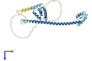 HMG20A Protein (AA 1-347) (His tag)