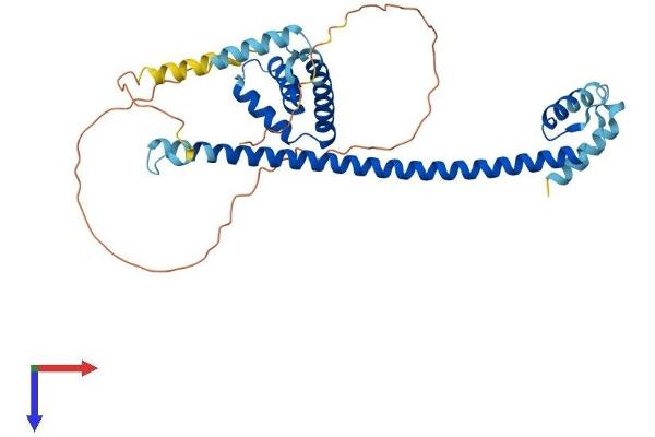 HMG20A Protein (AA 1-347) (His tag)