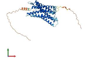 Protein Structure (PS) image for G Protein-Coupled Receptor 17 (GPR17) (AA 1-367) protein (His tag) (ABIN7548174)