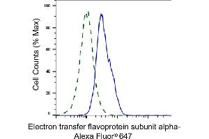Validation of Electron transfer flavoprotein subunit alpha knockdown using flow cytometry.