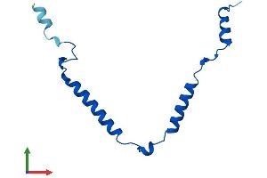 Protein Structure (PS) image for Mitochondrial Ribosomal Protein 63 (MRP63) (AA 1-102) protein (His tag) (ABIN7560540)