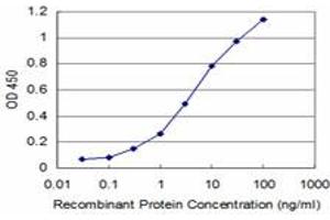 Detection limit for recombinant GST tagged RCV1 is approximately 0. (Recoverin Antikörper  (AA 101-199))