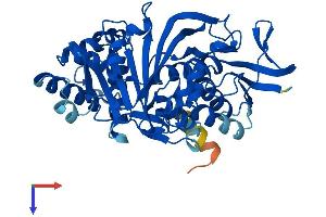 GDI2 Protein (AA 1-445) (His tag)