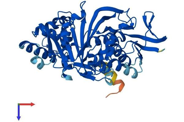 GDI2 Protein (AA 1-445) (His tag)