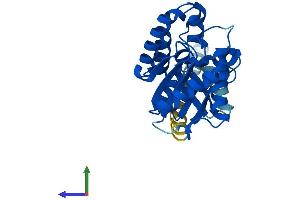 AlphaFold protein structure predicition of Human Recombinant PIGL Protein, UniprotID Q9Y2B2