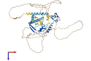 AXUD1 Protein (AA 1-589) (His tag)