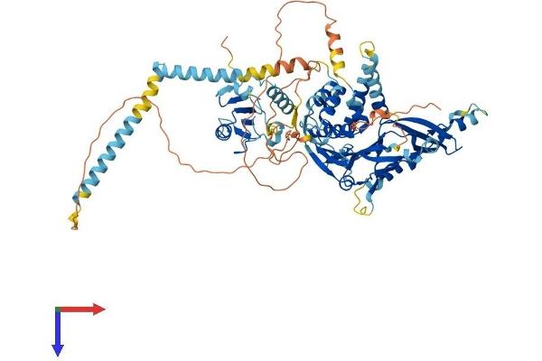 USP44 Protein (AA 1-712) (His tag)