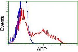 Image no. 8 for anti-Amyloid beta (A4) Precursor Protein (APP) antibody (ABIN1496877) (APP Antikörper)