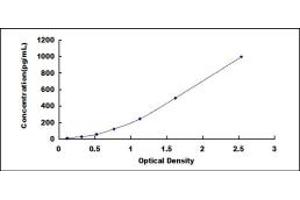 Typical standard curve (INHBB ELISA Kit)