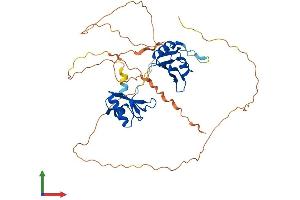 AlphaFold protein structure predicition of Human Recombinant RBMS1 Protein, UniprotID P29558
