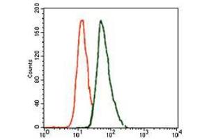 Flow cytometric analysis of A549 cells using T mouse mAb (green) and negative control (red). (T Antigen (AA 218-352) Antikörper)