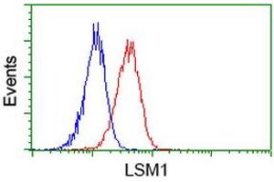 Image no. 2 for anti-LSM1 Homolog, U6 Small Nuclear RNA Associated (LSM1) (AA 1-133) antibody (ABIN1490576) (LSM1 Antikörper  (AA 1-133))