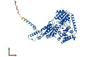 AlphaFold protein structure predicition of Human Recombinant ILVBL Protein, UniprotID A1L0T0