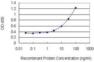 Detection limit for recombinant GST tagged UAP1 is 1 ng/ml as a capture antibody. (UAP1 Antikörper  (AA 406-504))