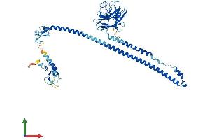 Protein Structure (PS) image for Tripartite Motif Containing 10 (TRIM10) (AA 1-489) protein (His tag) (ABIN7556277)
