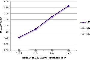 ELISA plate was coated with purified human IgM, IgG, and IgA. (Maus anti-Human IgM (Heavy Chain) Antikörper (HRP))