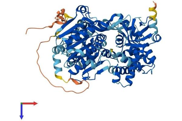 DHX33 Protein (AA 1-707) (His tag)