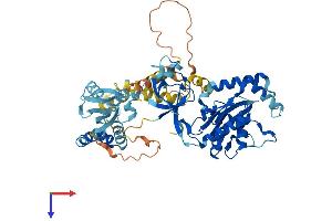 MPP2 Protein (AA 1-576) (His tag)