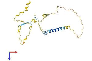 TP53INP2 Protein (AA 1-220) (His tag)