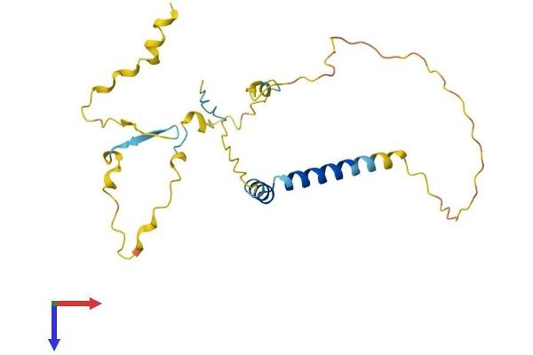 TP53INP2 Protein (AA 1-220) (His tag)