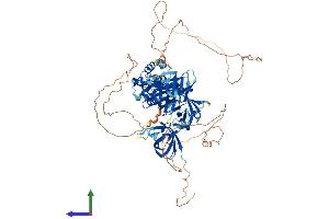Protein Structure (PS) image for Interferon, gamma-Inducible Protein 16 (IFI16) (AA 1-785) protein (His tag) (ABIN7554147)