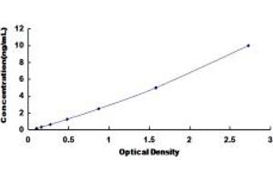 Typical standard curve (SLC30A4 ELISA Kit)