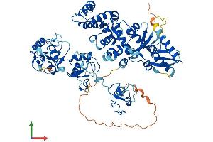 Protein Structure (PS) image for G2/M-Phase Specific E3 Ubiquitin Protein Ligase (G2E3) (AA 1-706) protein (His tag) (ABIN7547841)