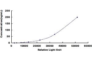 ELISA image for Cystatin C (CST3) CLIA Kit (ABIN492190)